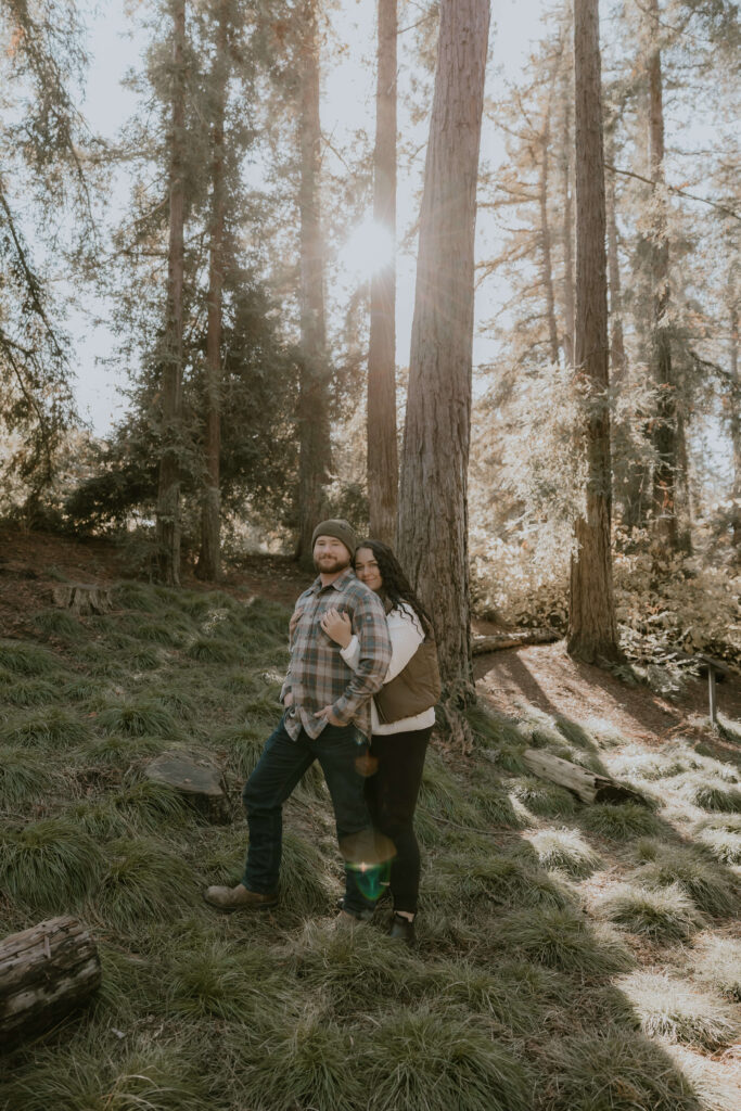 A couple standing underneath a group of redwood trees in grass for their christmas minis.